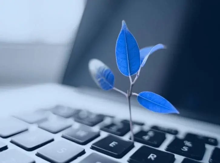 pursuethepassion.com